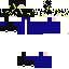 Texture for up_nusi