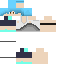 Texture for gabs standart 1
