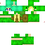 Texture for turtle