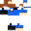 Texture for CheesKung