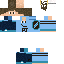 Texture for PJ INVEISOR