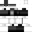 Texture for S-destructor