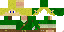Texture for link 1a