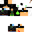 Texture for gei 666