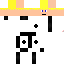 Texture for invishead