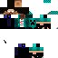 Texture for Thelink