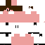 Texture for PepiPvP