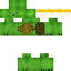 Texture for Turtle
