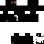 Texture for invasor cs4