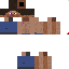 Texture for Tactical_Fox