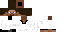 Texture for steve