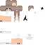 Texture for STEVE