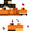 Texture for d_class_shart