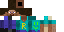 Texture for Steve
