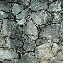 Texture for cobblestone