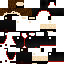 Texture for ninja