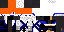 Texture for ninja