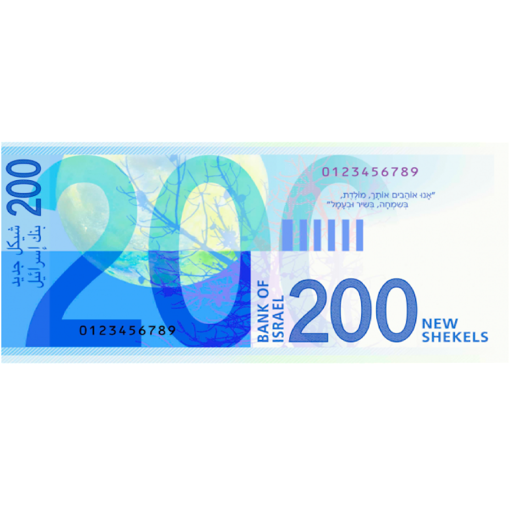 Texture for כסף חדש 200