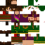 Texture for alixe navidad