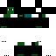Texture for Croc