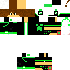 Texture for Steve