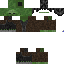 Texture for leo_acm10