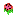 Texture for Watermelon 