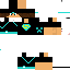 Texture for steve