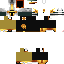 Texture for 2016Guard