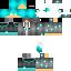 Texture for victorpint2