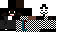 Texture for LeoTort
