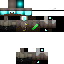 Texture for ninja