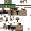 Texture for rana poli