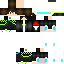 Texture for steve