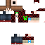 Texture for ds