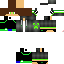 Texture for logan100