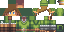 Texture for Link