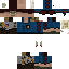 Texture for Vector Cipher