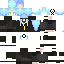Texture for Limule
