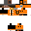 Texture for GUSIM