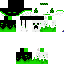 Texture for enderboy