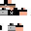 Texture for rex12