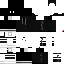 Texture for _SVInEC_