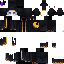 Texture for secta 