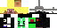 Texture for Ninja