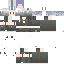 Texture for pyon_usa