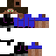 Texture for Guests of the spinjitzu