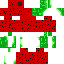 Texture for lonemelonslice