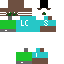 Texture for zimski medo