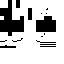 Texture for mcskin